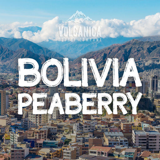 Bolivia Peaberry Coffees