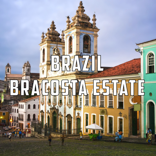 New Brazil coffees beans wholesale