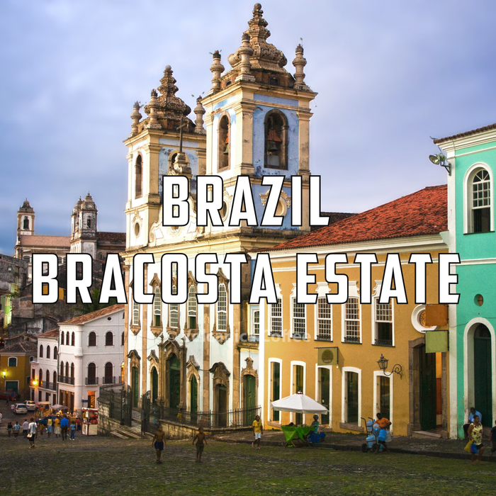 New Brazil coffees beans wholesale