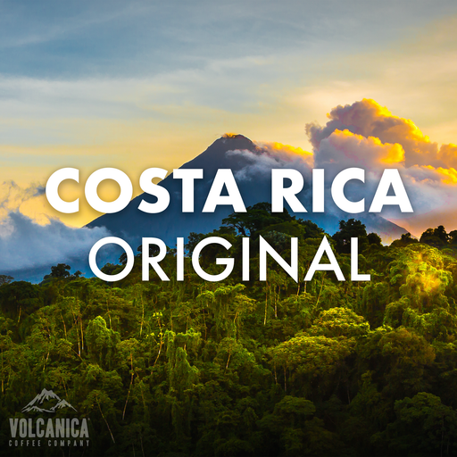 Costa Rica Coffee Wholesale 2024