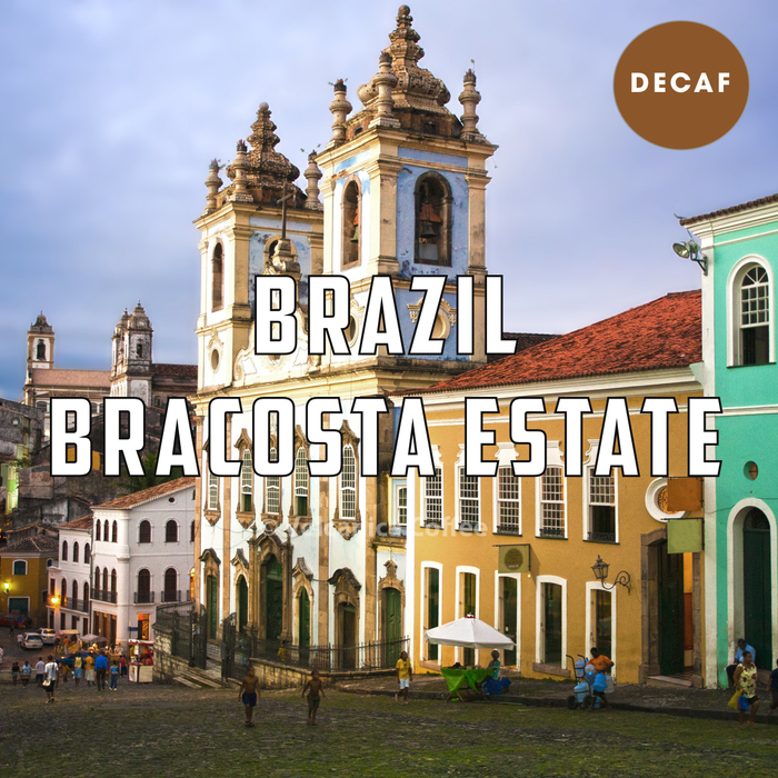 Brazil Decaf Coffee Wholesale New