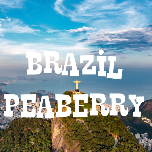 Brazil Peaberry Coffees