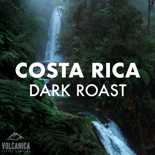 Costa Rican Coffee Wholesale Volcanic