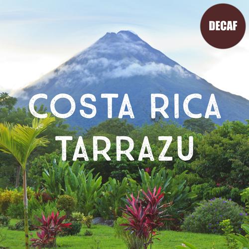 Decaf Costa Rica Coffee Wholesale Beans