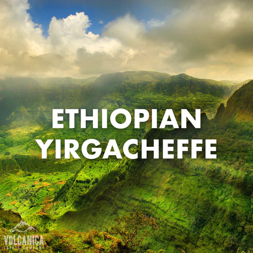 Ethiopian Yirgacheffe Coffee Wholesale