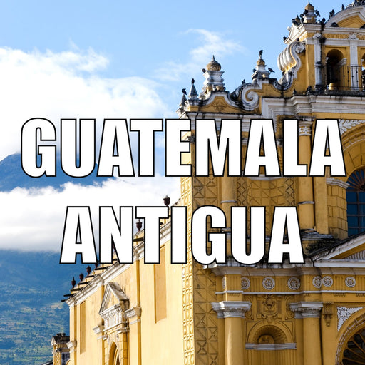 Guatemala Antigua Coffees Wholesale